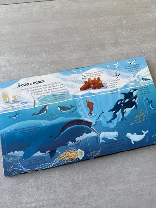 Look Inside Seas and Oceans