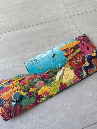 Look Inside Seas and Oceans