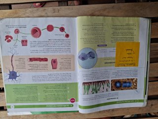 BIOLOGIA Y GEOLOGIA C-LEON 3 ESO CONSTRUYENDO M...