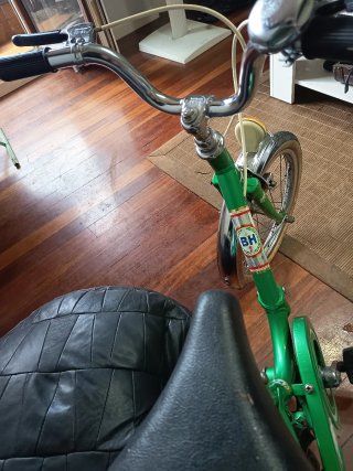 Bicicleta BH Infantil Plegable Verde