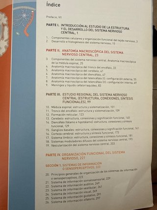 Neuroanatomía humana
