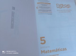 Libros de Matemáticas 5° primaria REVUELA