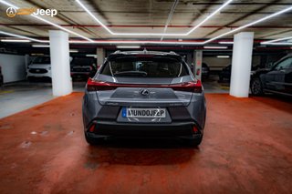 Lexus UX 2.0 250h Business