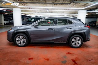 Lexus UX 2.0 250h Business