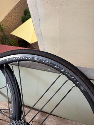 Campagnolo Shamal Mille / Ultra Ruedas