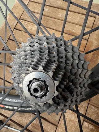 Campagnolo Shamal Mille / Ultra Ruedas