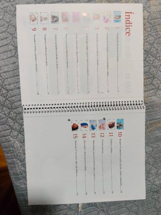 Peinados y recogidos (libro de taller) grado medio