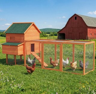 Gallinero Grande Madera Exterior 2 Nidos