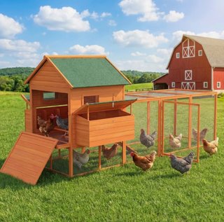 Gallinero Grande Madera Exterior 2 Nidos