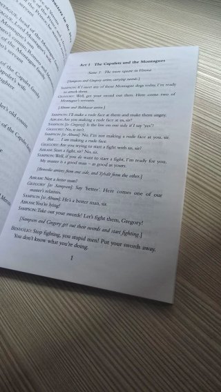 Romeo and Juliet Book
