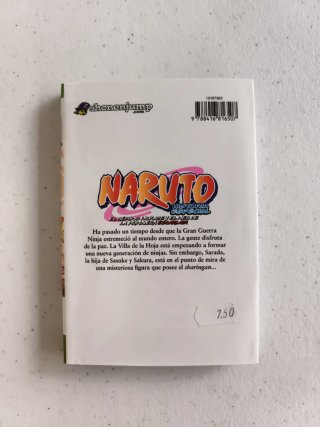Naruto. Historia especial