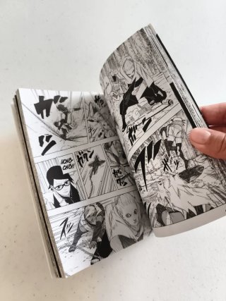 Naruto. Historia especial