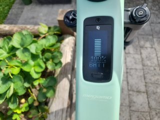 Megamo Native 10