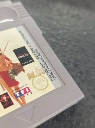 Juego Game Boy Un Indio en la Ciudad