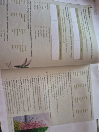 Puntal 1. Llengua catalana i Literatura 1 ESO