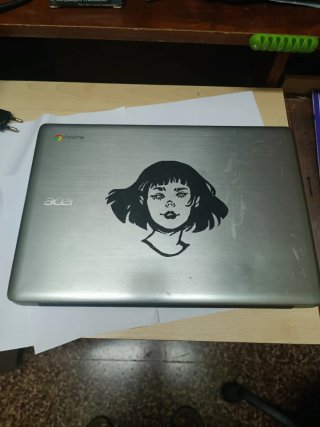 Acer Chromebook CB3-431 per parti