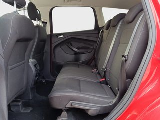 KUGA-DESDE 174€ ¡SIN PAGAR ENTRADA!
