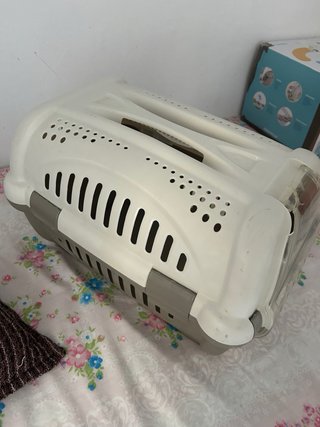 Box per animali domestici di taglia piccola