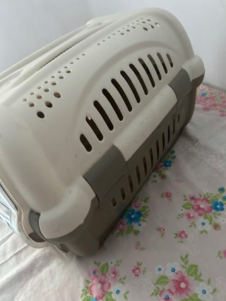 Box per animali domestici di taglia piccola