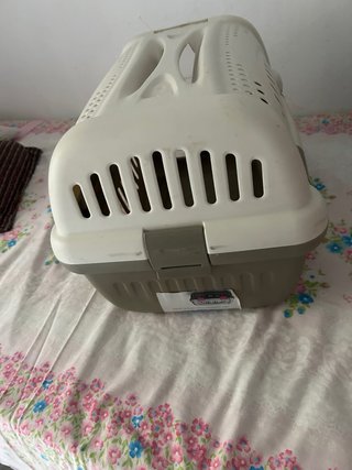 Box per animali domestici di taglia piccola