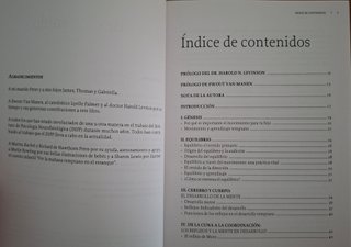 Lote Libros  Pedagogia (Waldorf,Libre,etc)