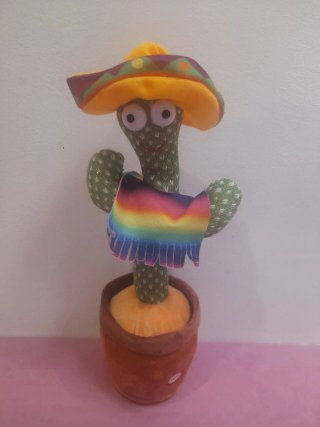 Cactus Bailarín Serafín