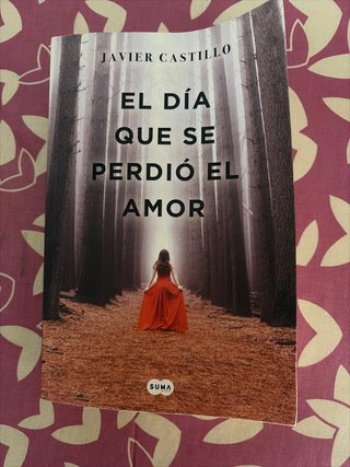 El día que se perdió el amor