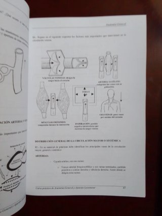 CURSO PRÁCTICO DE ANATOMÍA GENERAL Y APARATO LO...