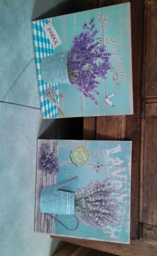 Coppia quadri lavanda decoro rilievo