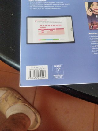 Les blogueurs 5, B1 Cahier d ́exercices