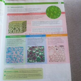 Biología, Geología y Ciencias Ambientales 1 Bac...