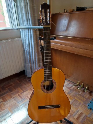 Guitarra Flamenca Javier Castaño