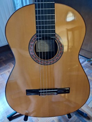 Guitarra Flamenca Javier Castaño