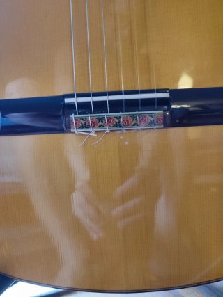 Guitarra Flamenca Javier Castaño