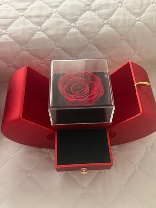 Oso y Corazón Joyeros Rojos