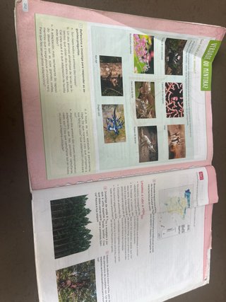 Bioloxía e Xeoloxía. 1 Secundaria. Revoa