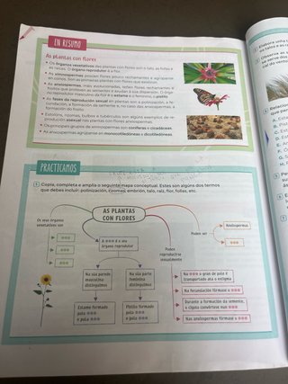 Bioloxía e Xeoloxía. 1 Secundaria. Revoa
