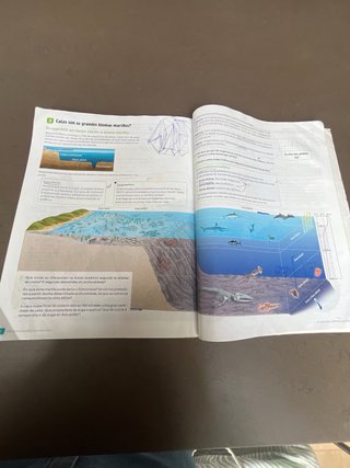 Bioloxía e Xeoloxía. 1 Secundaria. Revoa