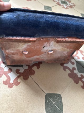 Maceta bonsai azul cerámica