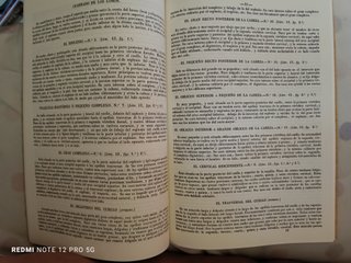 Tratado de Anatomía pictórica