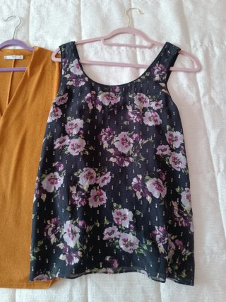 Lote dos blusas