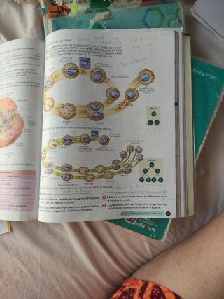 Biología, Geología y CC. Ambientales 1º Bachill...