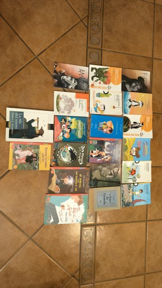 Libros de texto de colegio