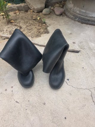 Botas de montar negras
