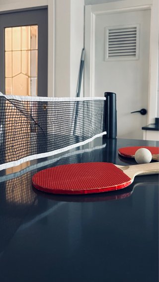 Red de ping pong con 2 palas y pelota