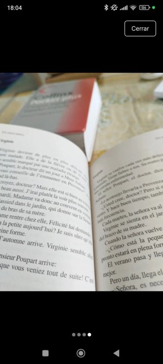 Diccionario frances Collins Pocket