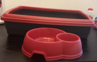 Box gabbia e mangiatoia per gatti