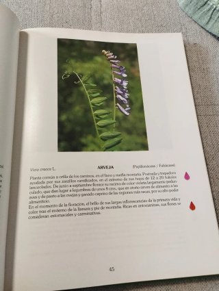 Libro plantas de los caminos de la Rioja