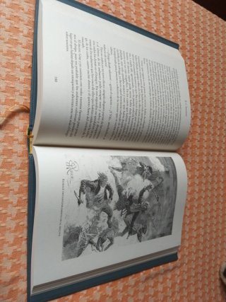 Lote libros clásicos juveniles