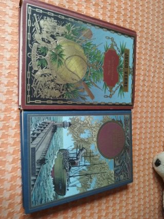 Lote libros clásicos juveniles